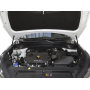 Упоры (амортизаторы) капота для Hyundai Tucson, 2018- KU-HY-TS03-01